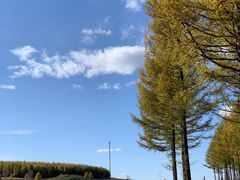 -塞罕坝国家级自然保护区