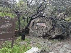 -阳台山自然风景区