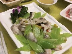 -丁老爷子苏香圆