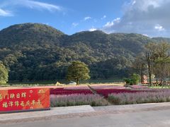 -广州市石门国家森林公园