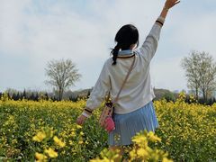 -汉长安城未央宫国家考古遗址公园