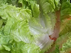 -泸州酸菜豆花火锅川师店