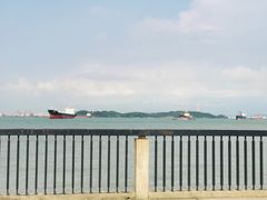 -南沙蒲洲花园