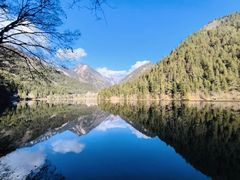 -九寨沟-树正沟