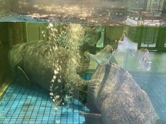 -聚福宝合苑食府(南头镇店)