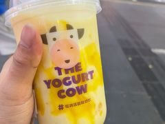 -一只酸奶牛(八一路店)