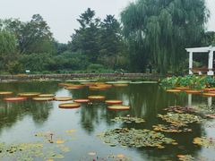 -国家植物园南园