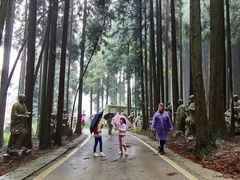 -武陵山森林公园