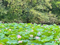 -南国桃园旅游度假区