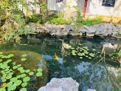 -苏州冶园园林民宿(太湖西山风景区店)