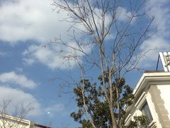 iphone_upload_pic-海逸海鲜酒家(古北店)