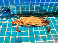 -佬太公海鸭·海鲜大排档(上海总店)
