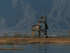 -野鸭湖国家湿地公园