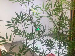 -湘阁里辣(东门茂业店)
