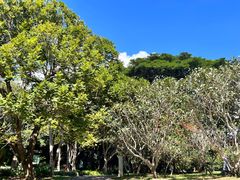 -中国科学院西双版纳热带植物园