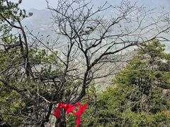 -塔云山