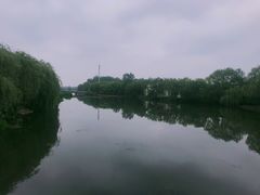 景点-溱湖国家湿地公园