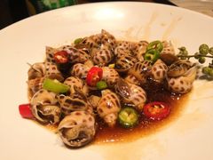 捞汁小海螺-必点海鲜·鲅鱼水饺(鞍山西道店)