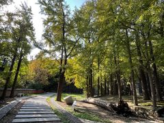 -阳台山自然风景区