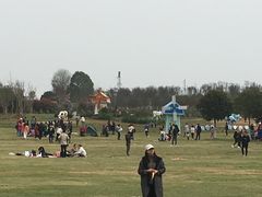 -武汉紫薇都市田园