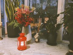 -蝶舍·MAISON PAPILLON