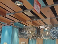-大鸭梨烤鸭(顺义石园店)