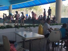 -秦皇岛乐岛海洋王国