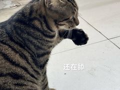 -美迦爱-牙专科·兔科·骨科诊疗中心(北苑店)