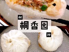-桐香园小笼包(百井坊巷店)