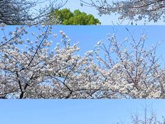 -堤角公园