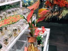 -KKV(深圳宏发大仟里店)