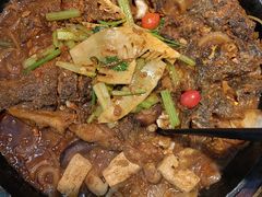 -老板恋上鱼(印象城店)