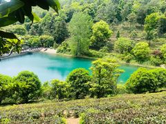 -九龙潭景区