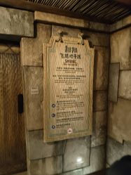 -翱翔飞越地平线