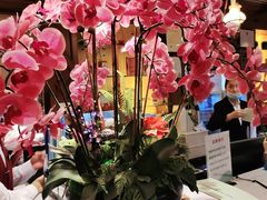 -榕港名轩(天禧店)