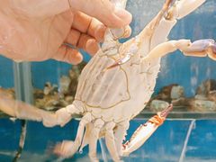 -苏大嘴蒸汽海鲜·海胆蒸饺(中山广场店)