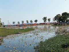 -滆湖低碳生态公园