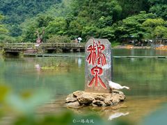 -靖西鹅泉风景区