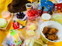 -上海共青森林公园