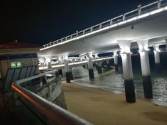 -演武大桥观景平台