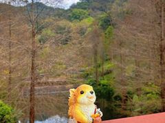 -云溪植物园
