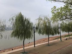 -武昌江滩