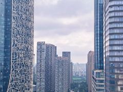 -天鹅湖体育公园