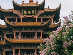 -黄鹤楼公园(黄鹤楼)