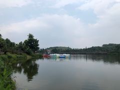 -枫香湖儿童公园