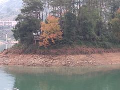 -广州市流溪河国家森林公园