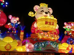 -大亚湾红树林城市湿地公园