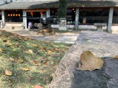 -宁波溪口古镇-民国大杂院