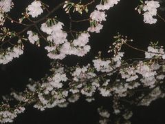 -鸡鸣寺