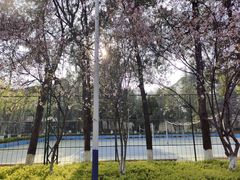 -云南师范大学(一二一西南联大校区)